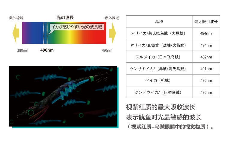 未标题-3.png