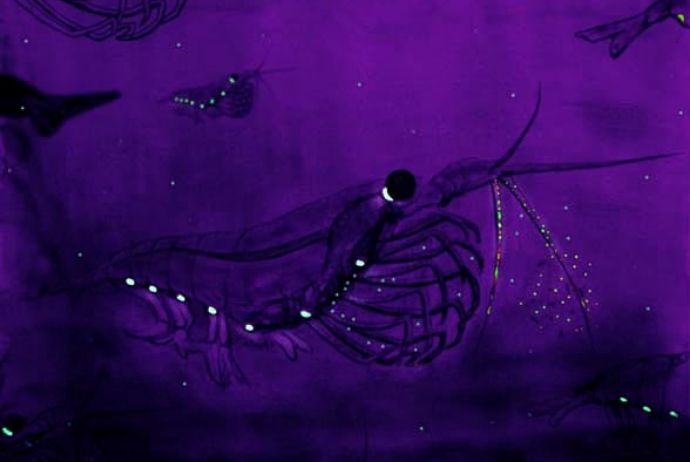 img_04.png